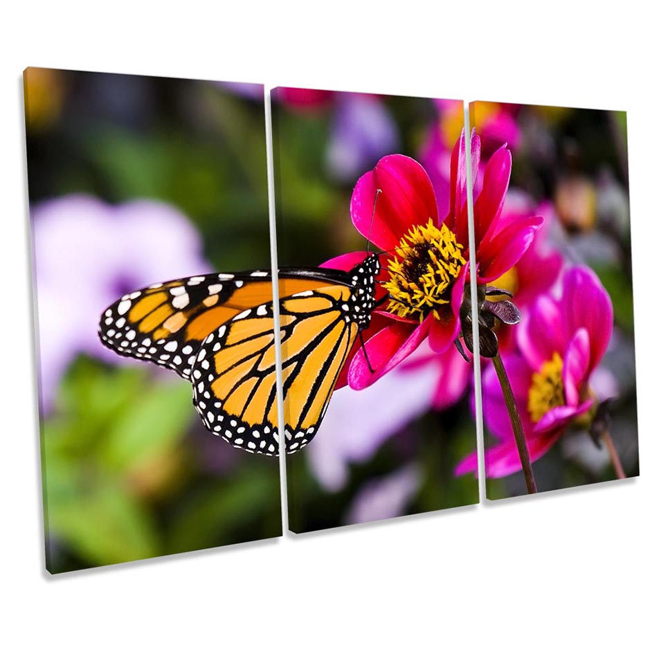 Butterfly Flower Floral