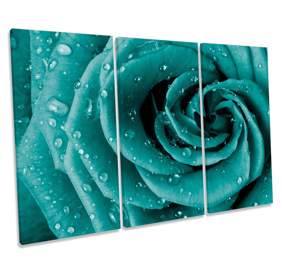 Turquoise Floral Rose Flower