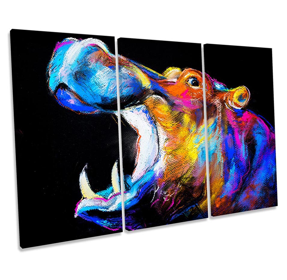 Hippo Colourful Multi-Coloured