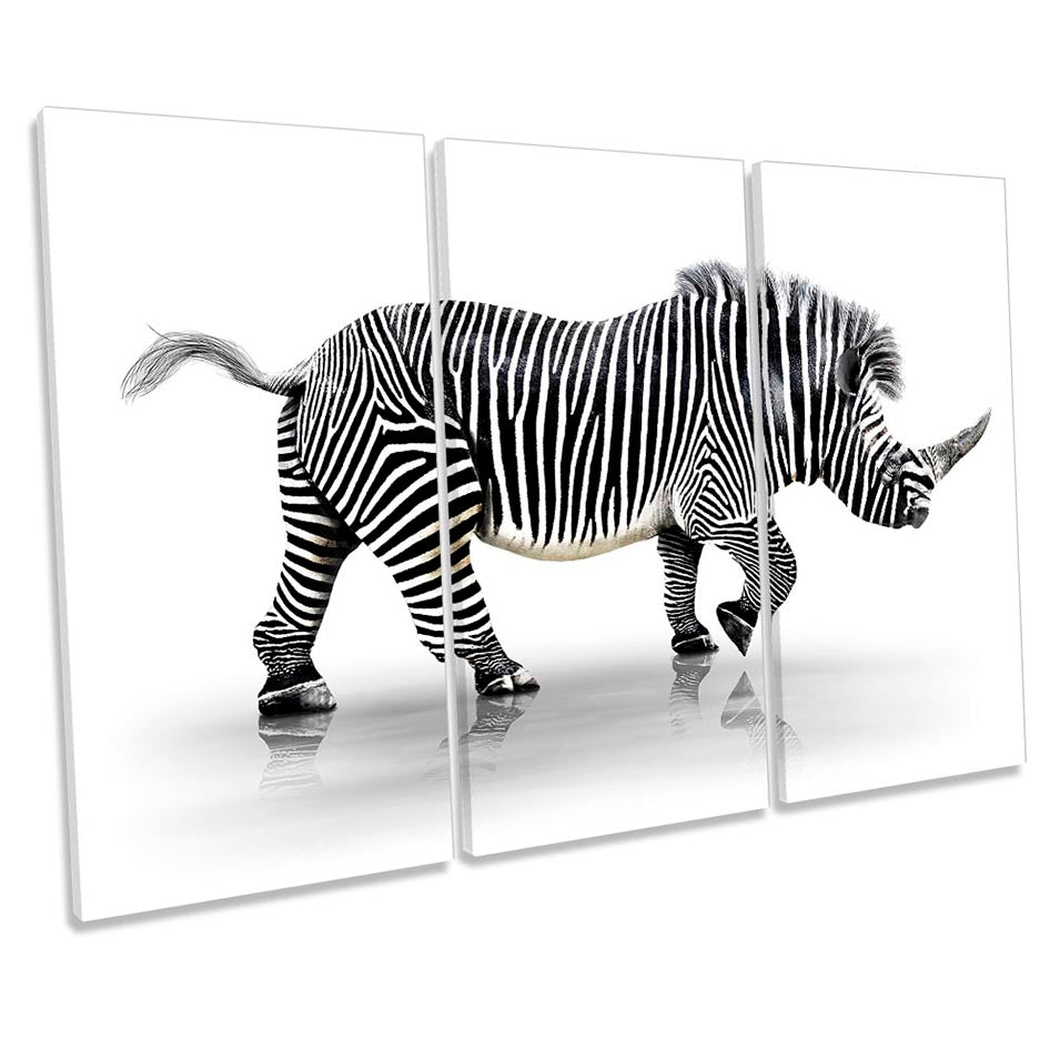 Rhino Striped Zebra Black & White