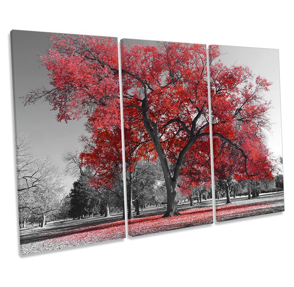 Large Tree Leaves Nature Red