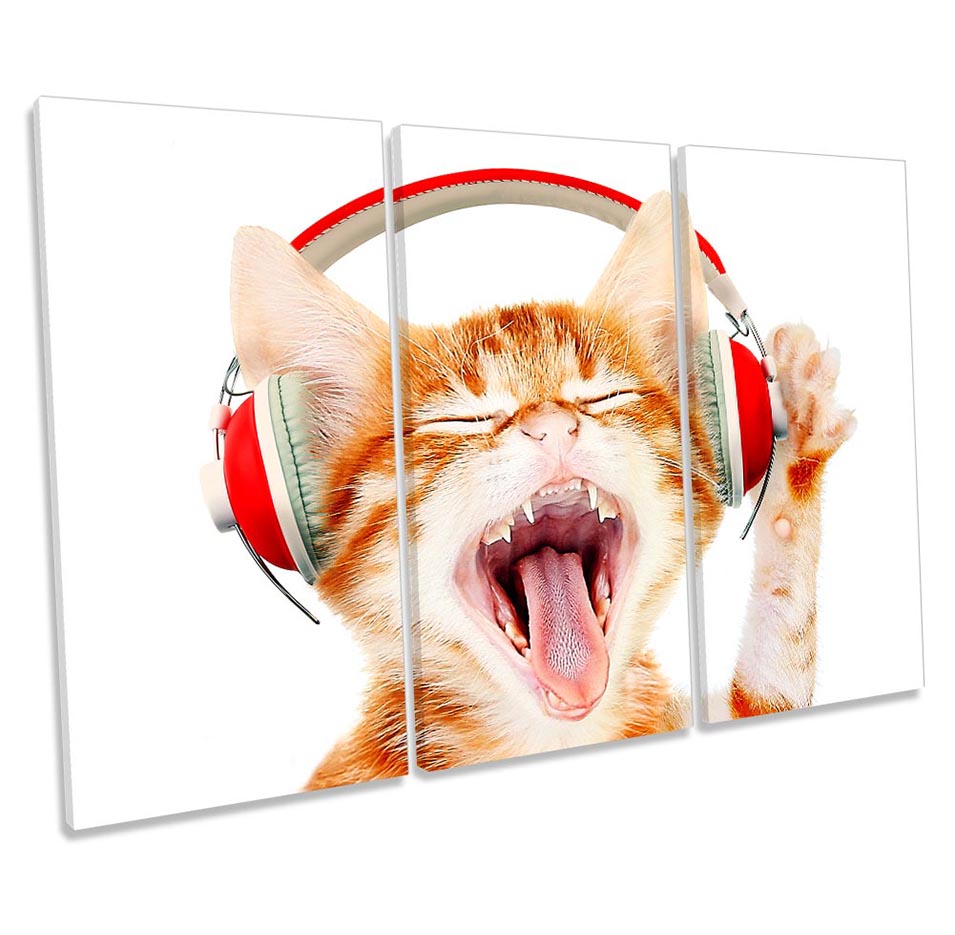Cat Headphones Music Orange
