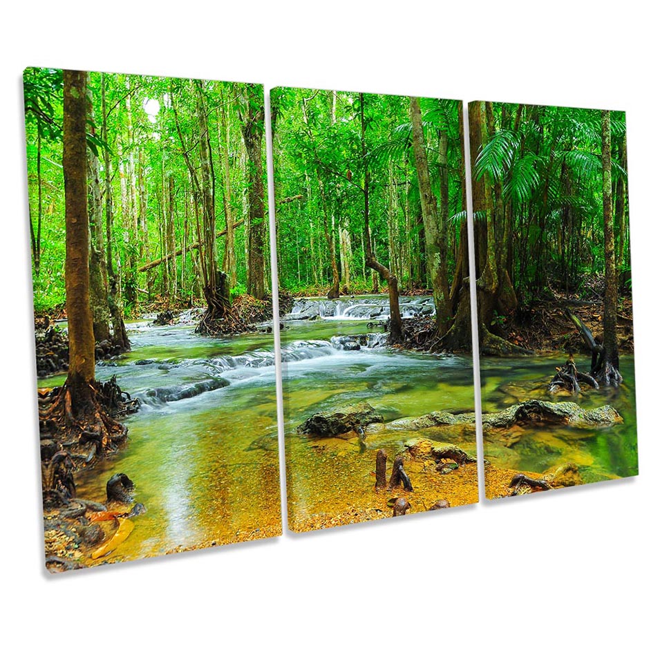 Tropical Forest River Green