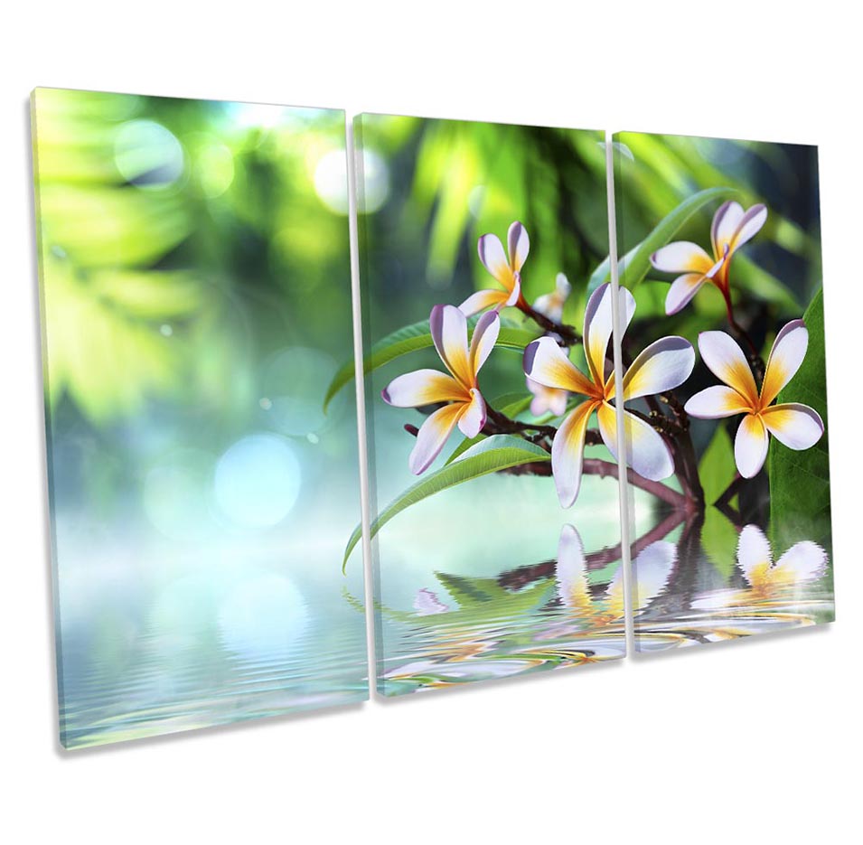 Floral Flowers Reflection Green