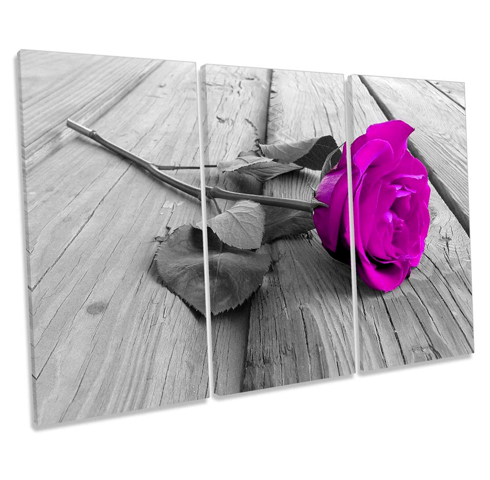 Rose Flower Floral Floorboard Pink
