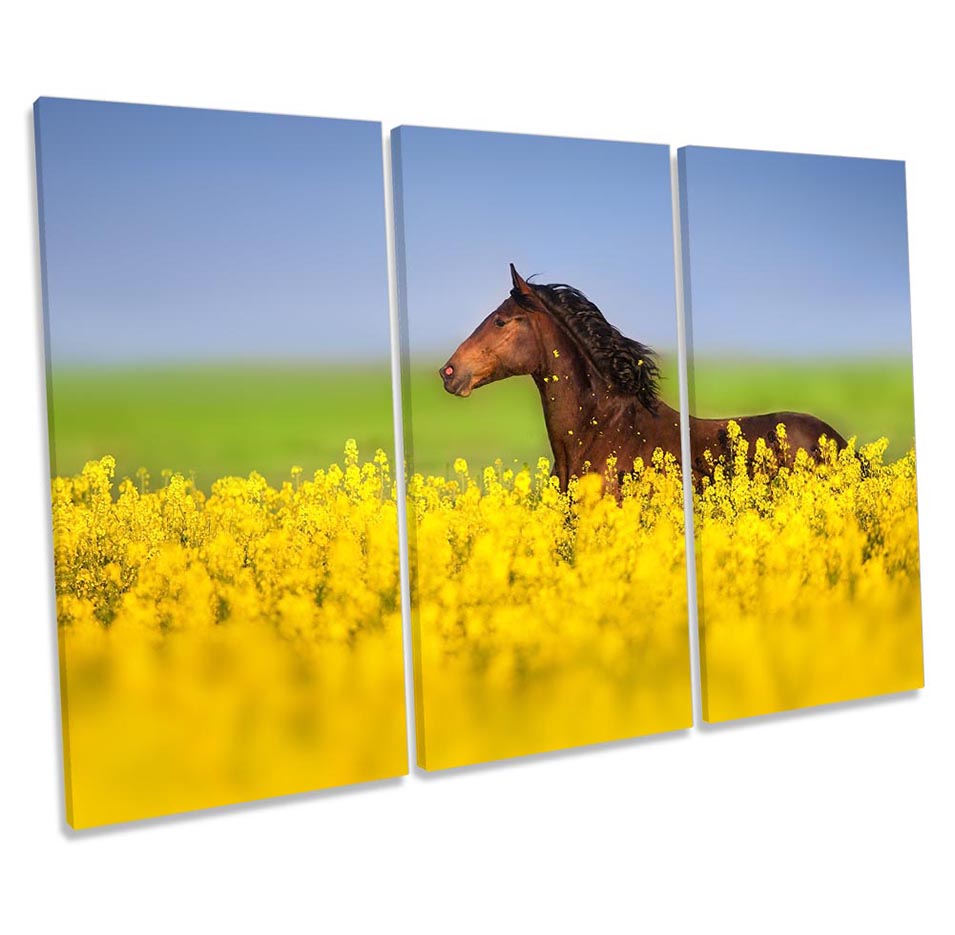 Horse Field Floral Yellow