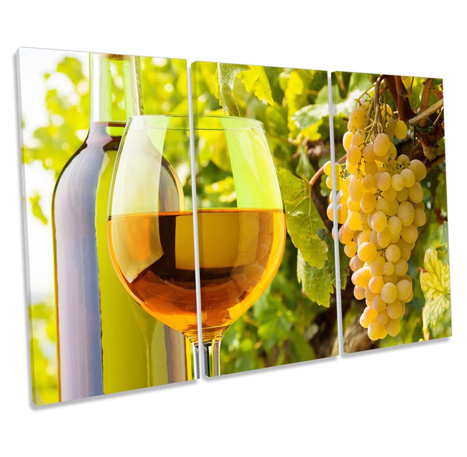 Glass Wine Vineyard Green