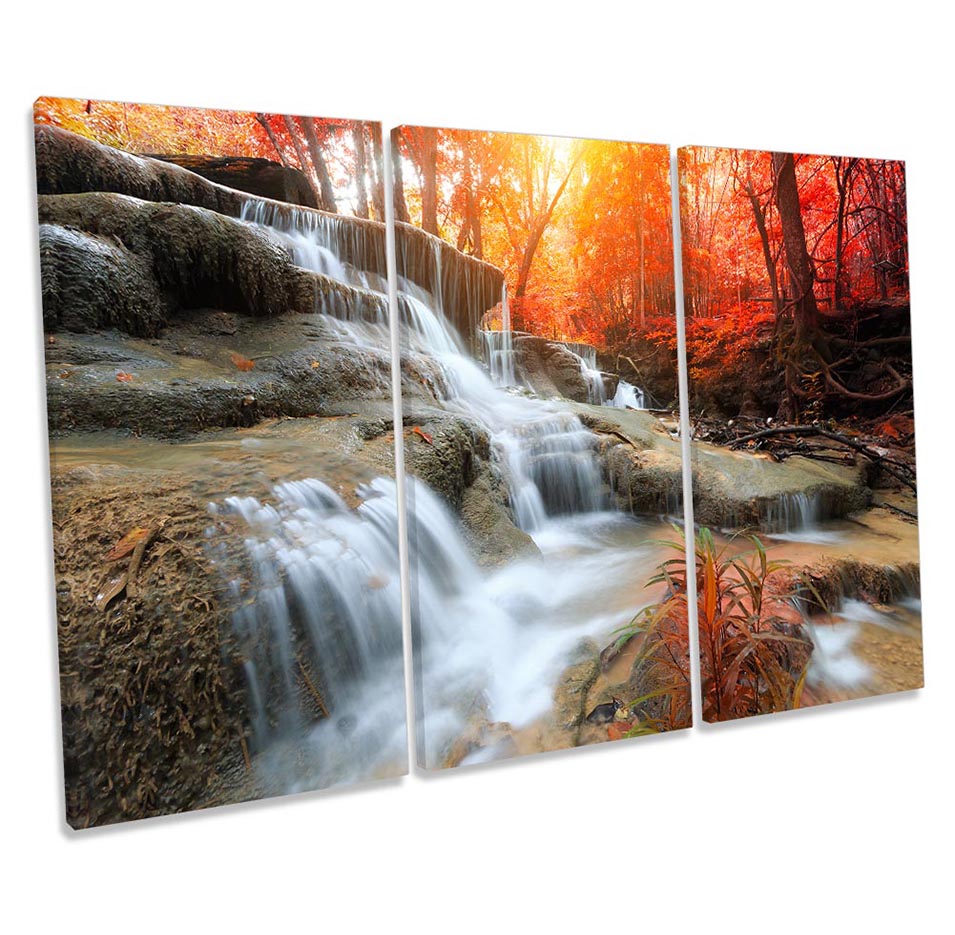 Forest Waterfall Sunset Red