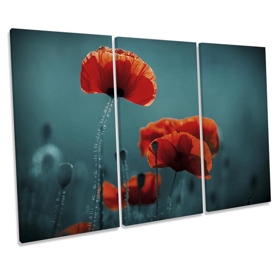 Red Poppy Floral Flowers Turquoise