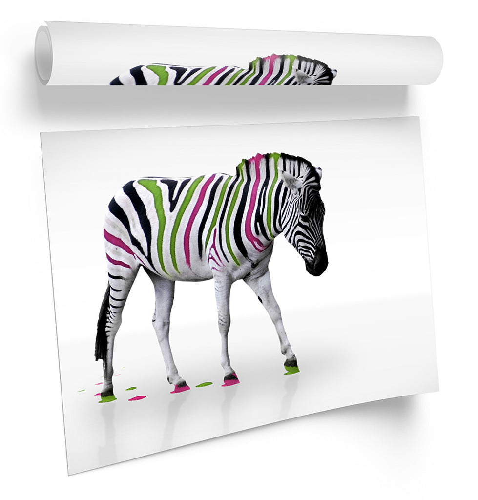 Zebra Multi Coloured Stripes Framed