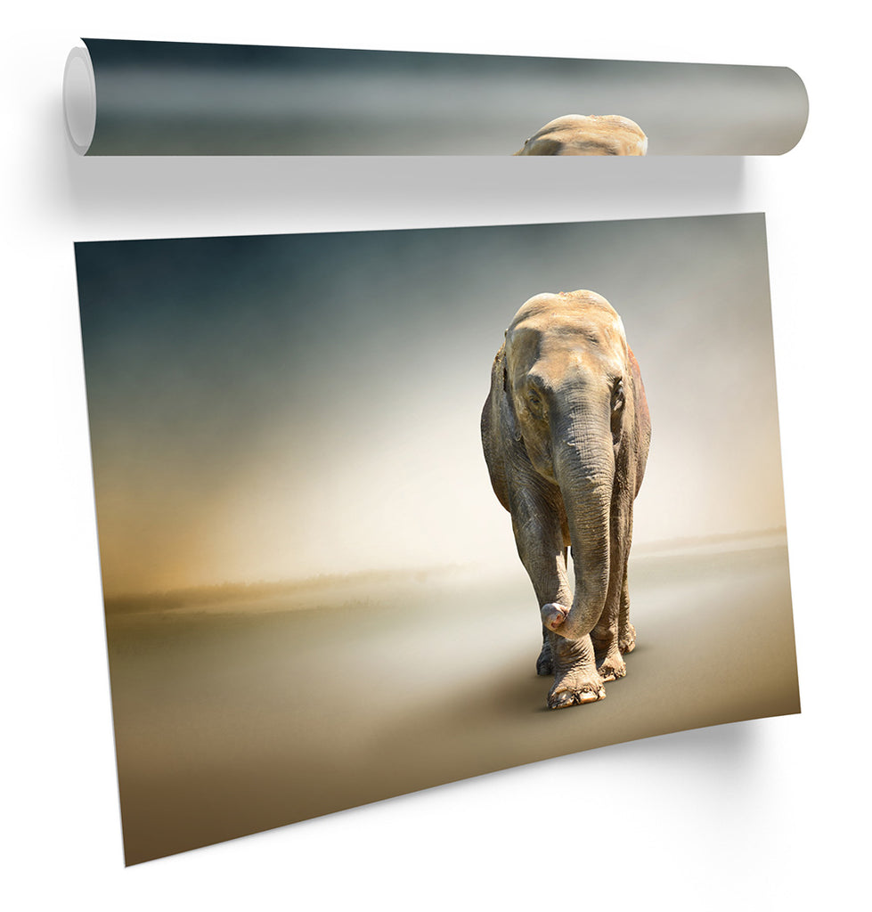 Elephant African Framed