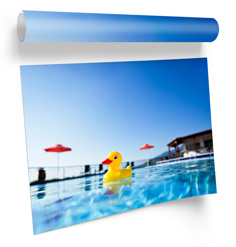 Rubber Duck Swimming Pool Framed