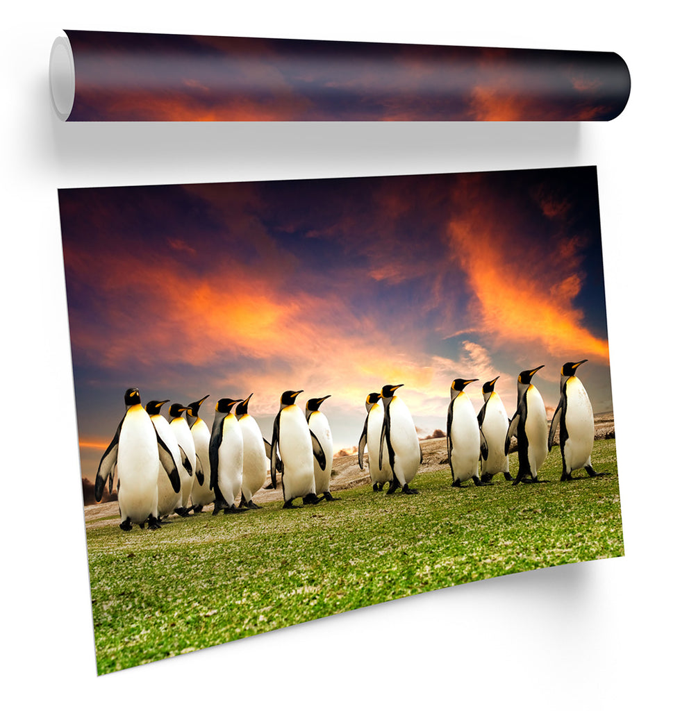Penguins March Sunset Framed