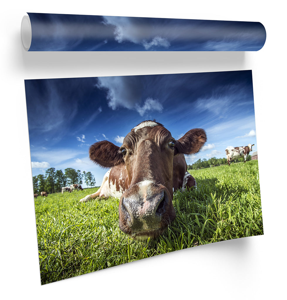Farm Cow Field Framed