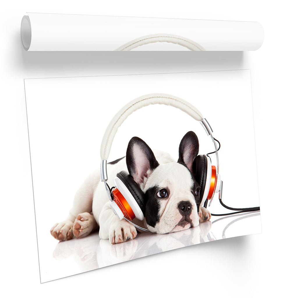 French Bulldog Puppy Music White Framed