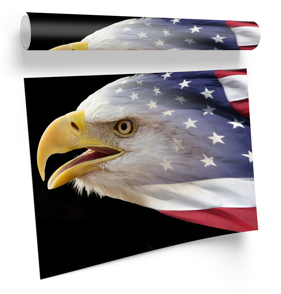 Eagle US Stars Stripes Framed