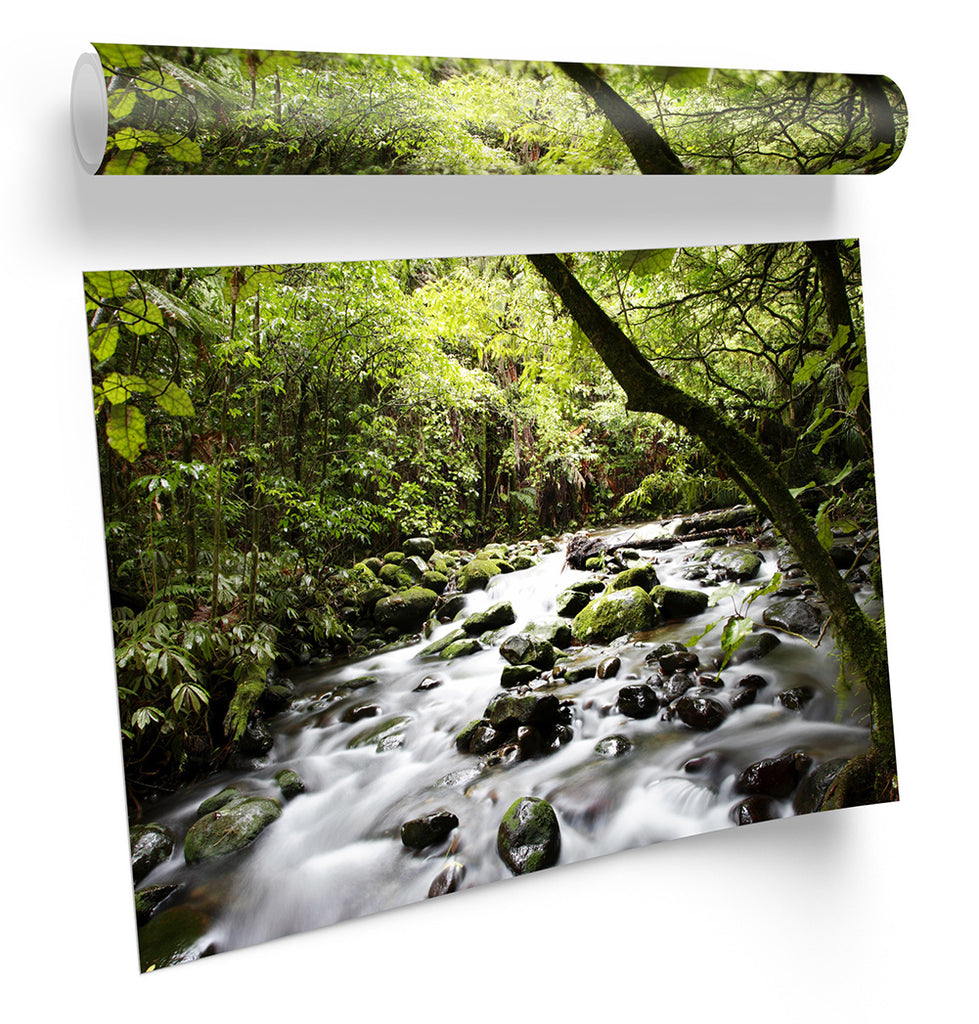 Tropical Forest River Landscape Framed