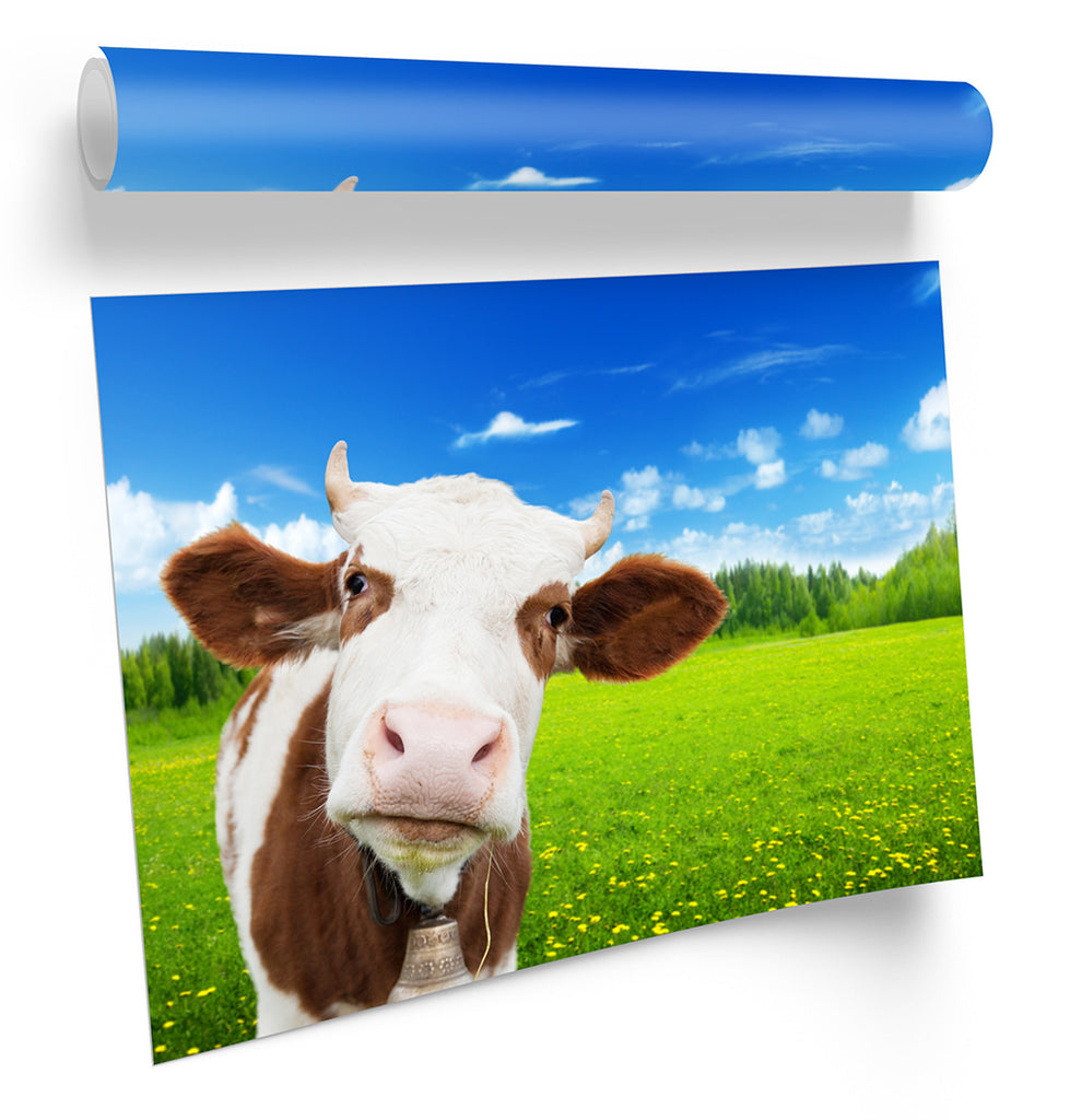 Cow Face Farm Framed