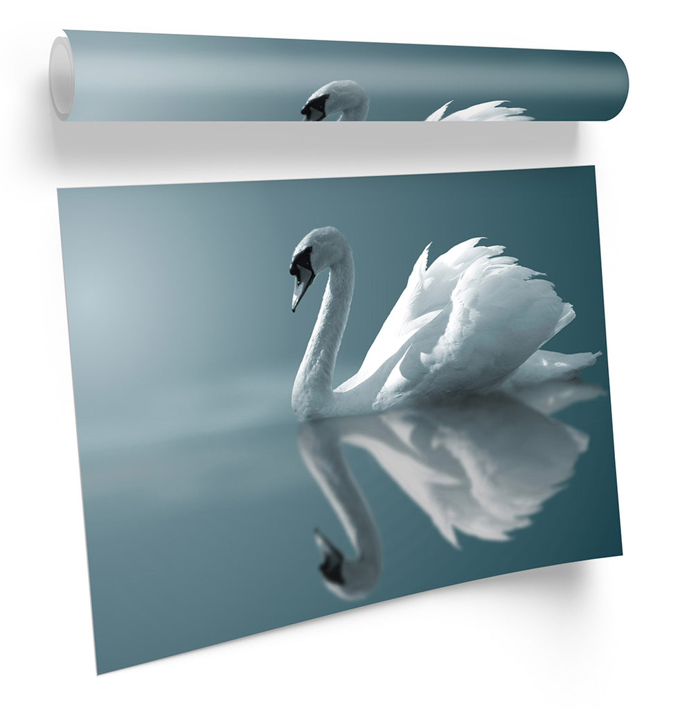 Graceful Swan Wildlife Framed