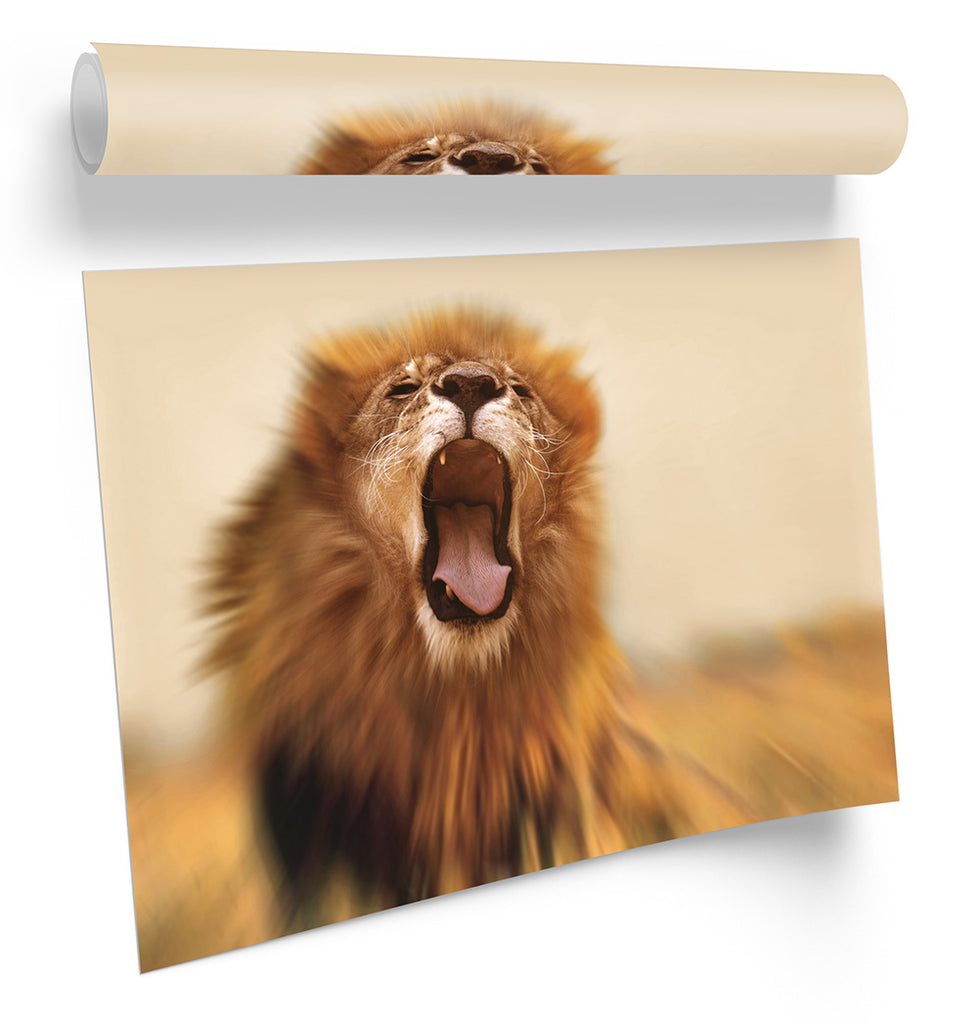 Lion Roar Safari Framed