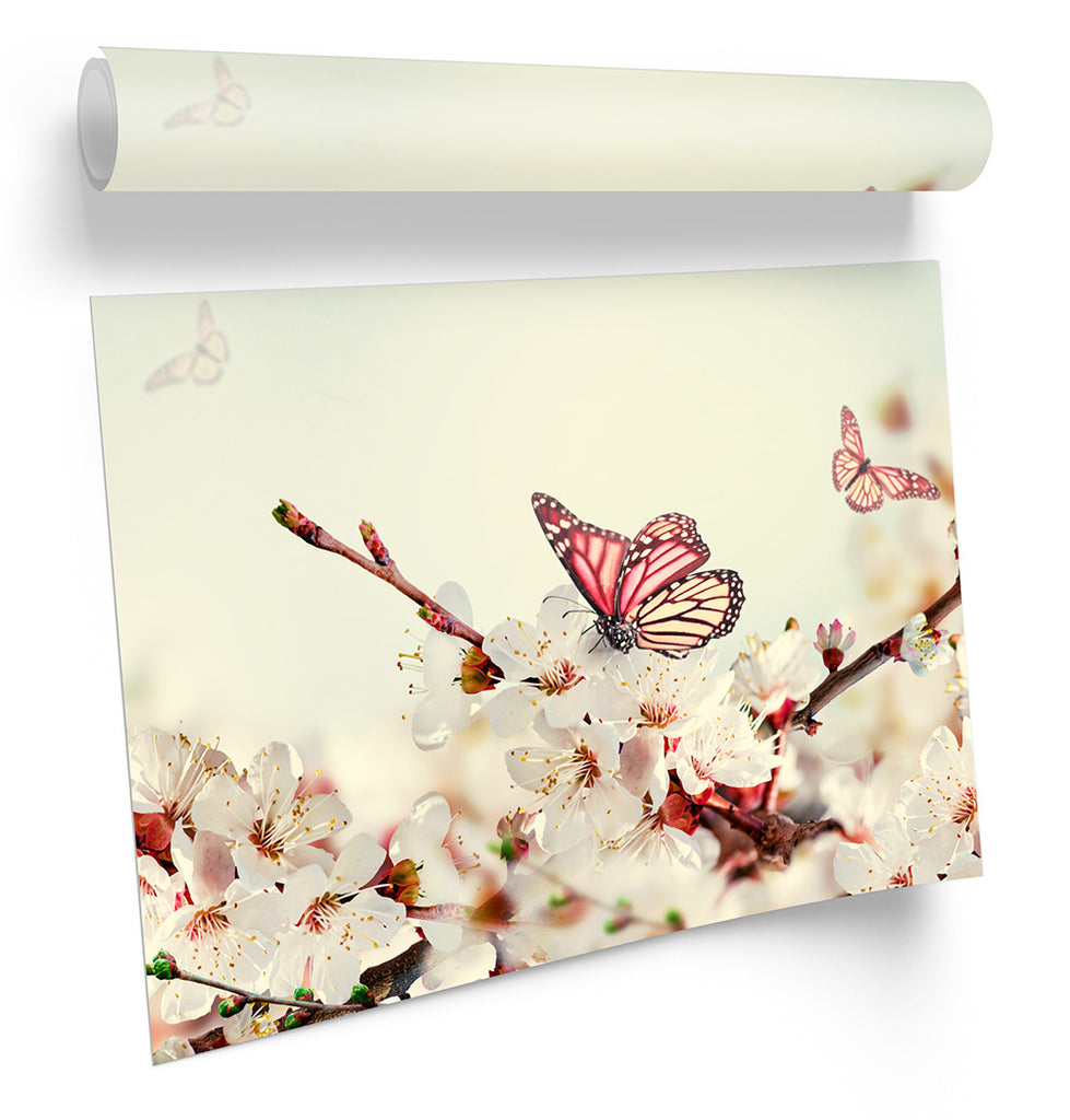 Butterfly Cream Floral Flowers Framed