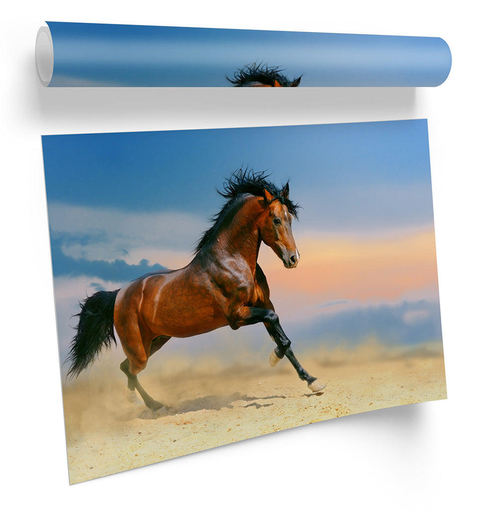 Horse Gallop Stallion Framed
