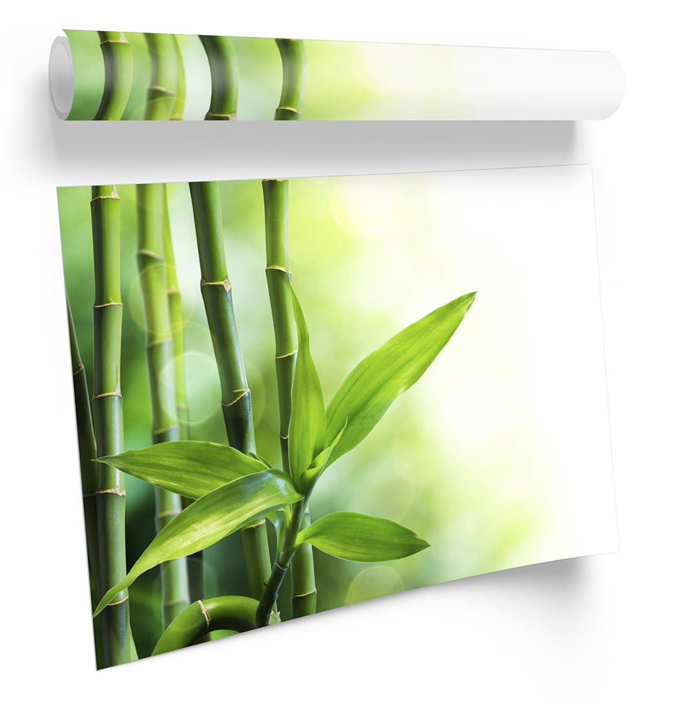 Bamboo Floral Framed
