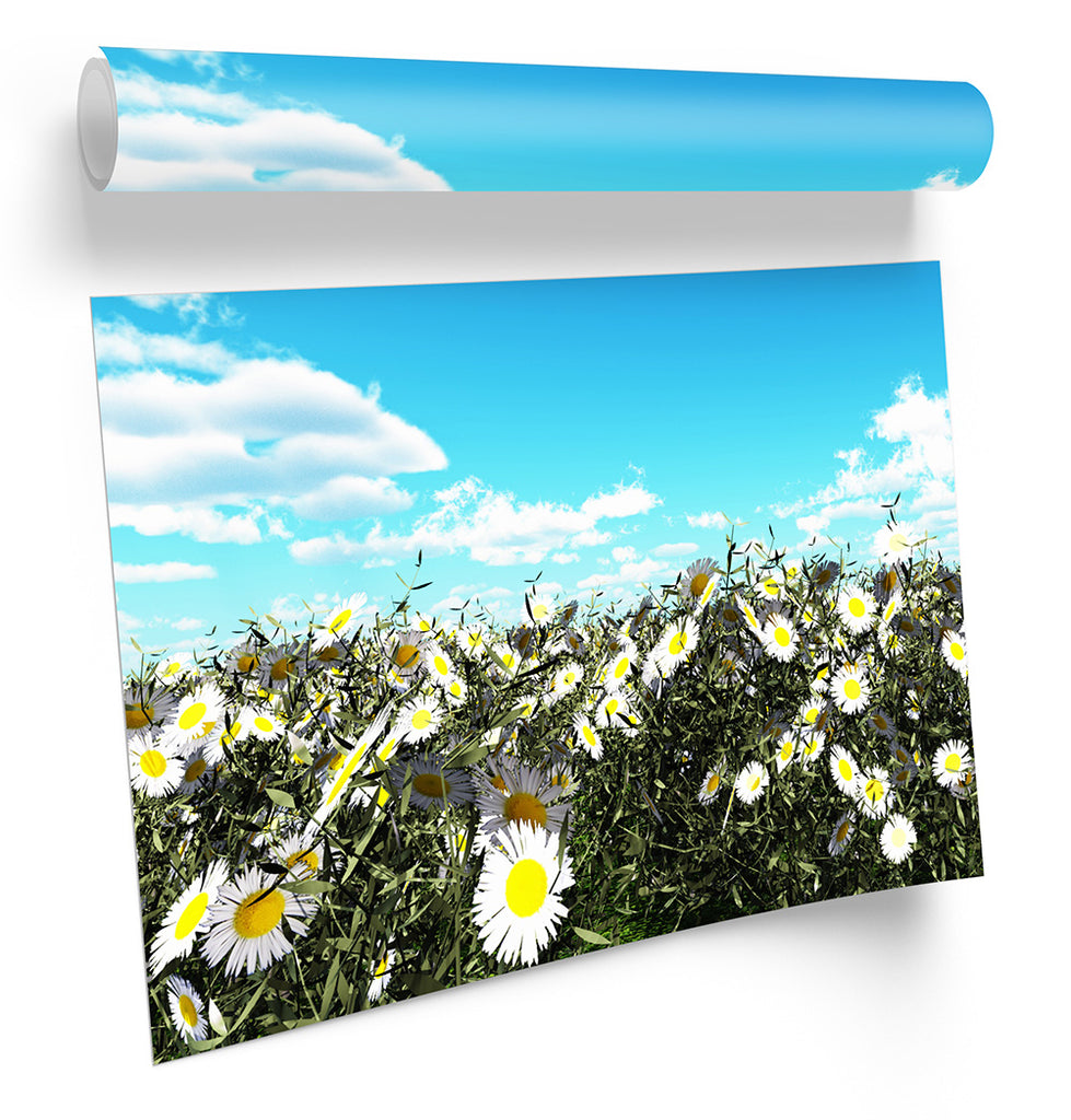 Floral Daisy Field Meadow Framed