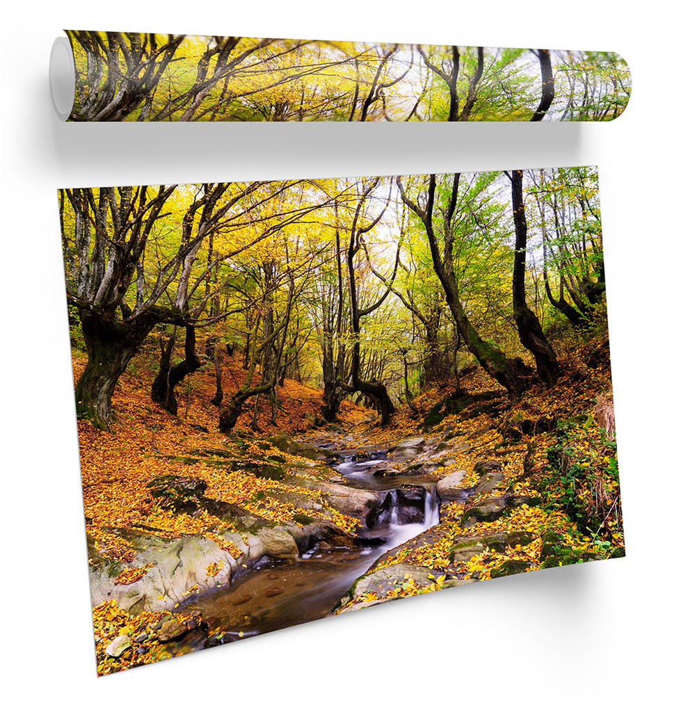 Autumn Forest Woodland Multi-Coloured Framed