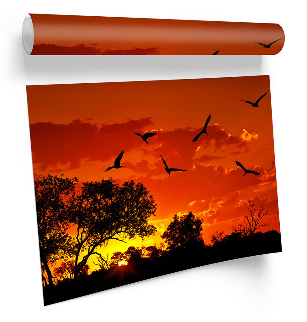 Africa Sunset Orange Birds Framed