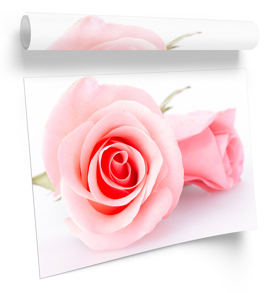 Pair Pink Floral Flower Rose Framed