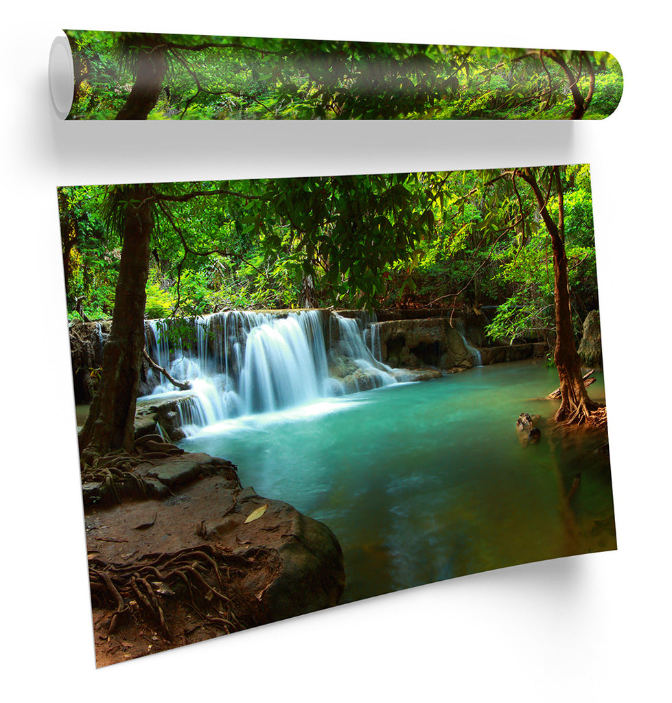 Tropical Rain Forest Scene Framed