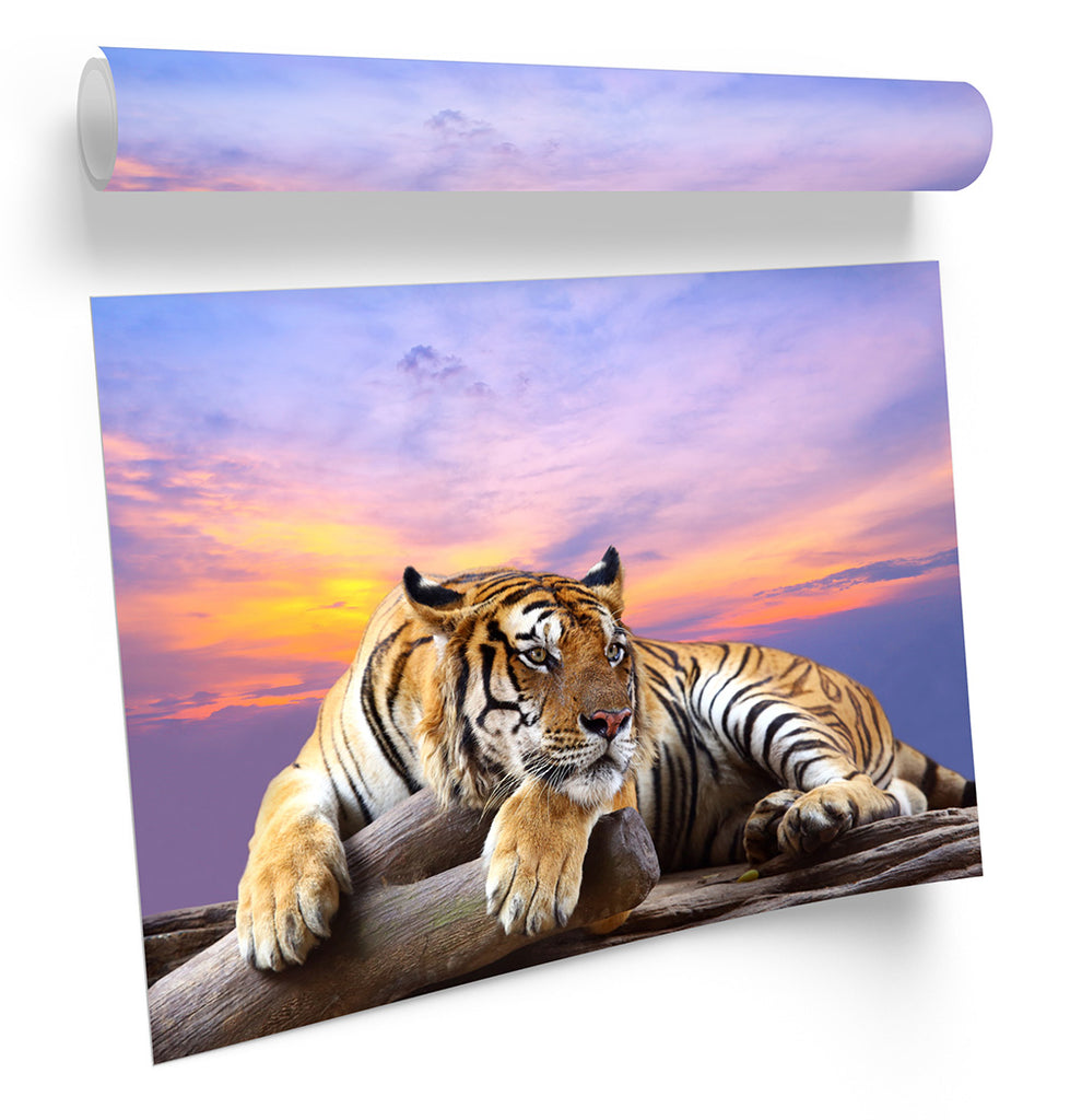 Tiger Sunset Framed