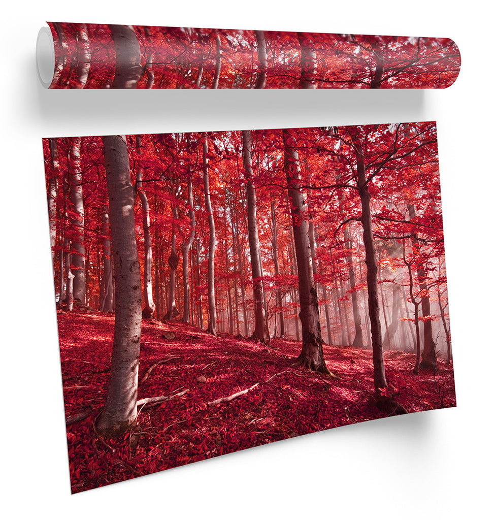 Red Forest Landscape Framed