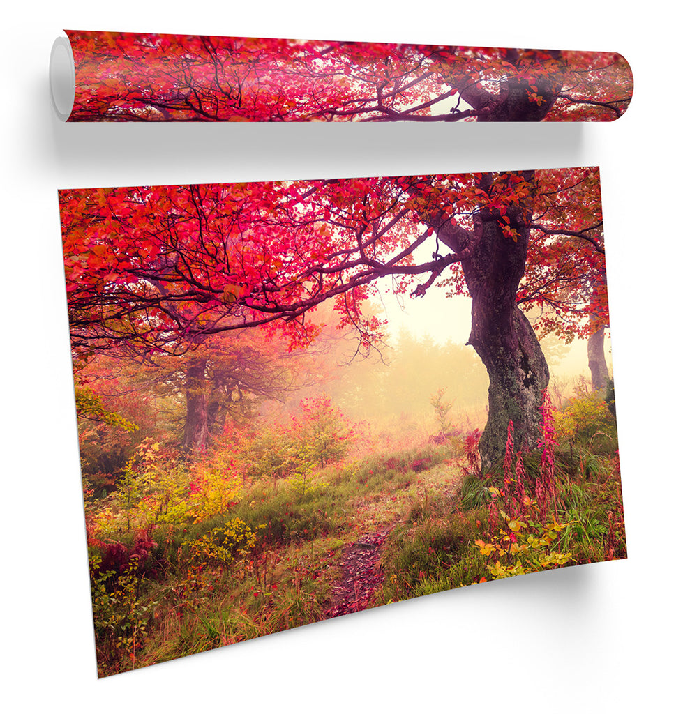 Autumn Red Tree Landscape Framed