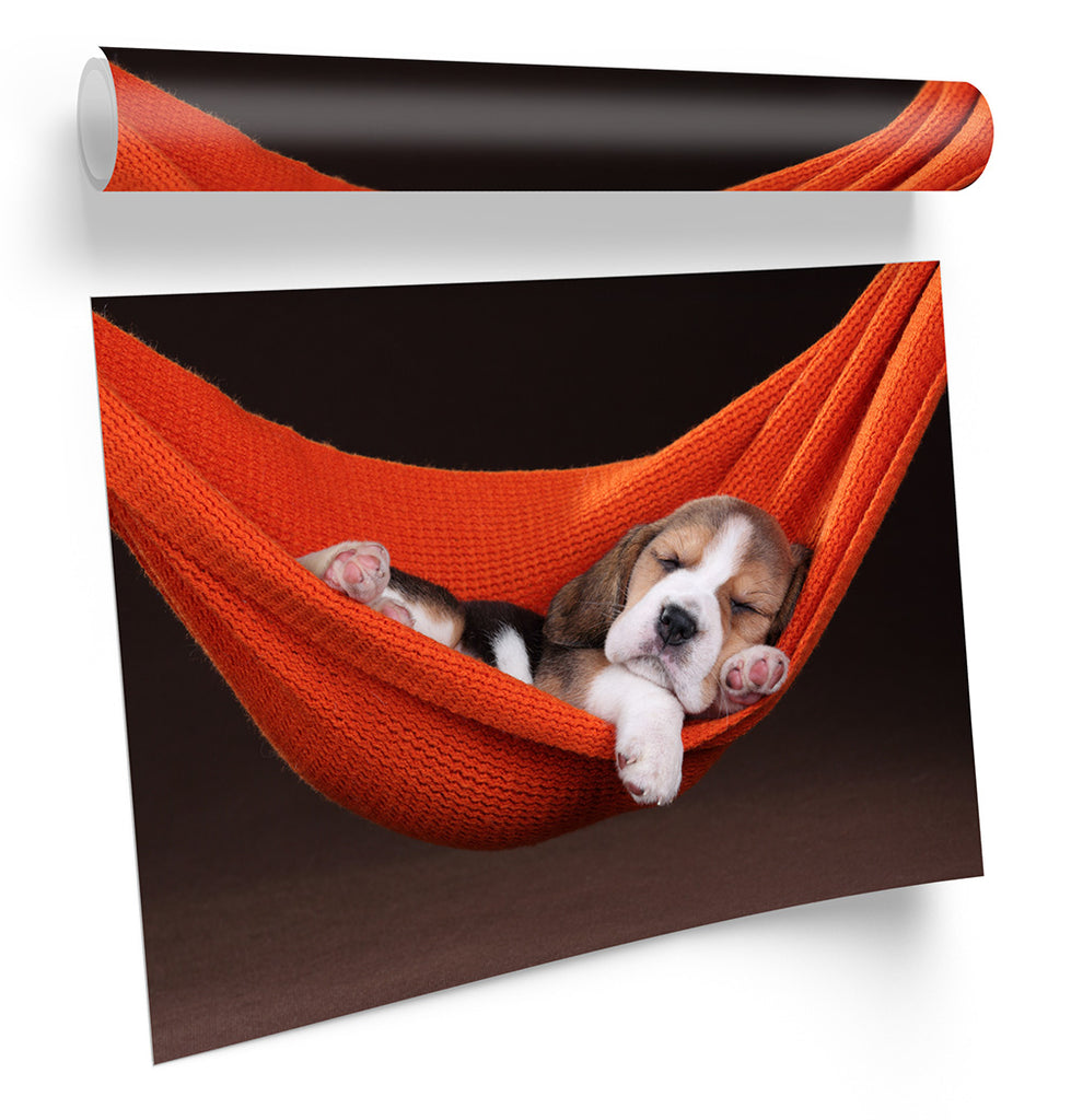 Cute Beagle Puppy Sleeping Red Framed