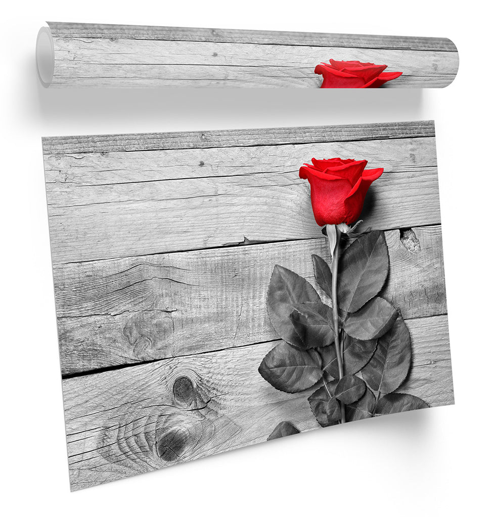 Red Rose Floorboards Flower Framed