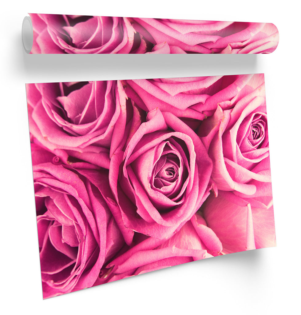 Pink Rose Floral Flower Framed