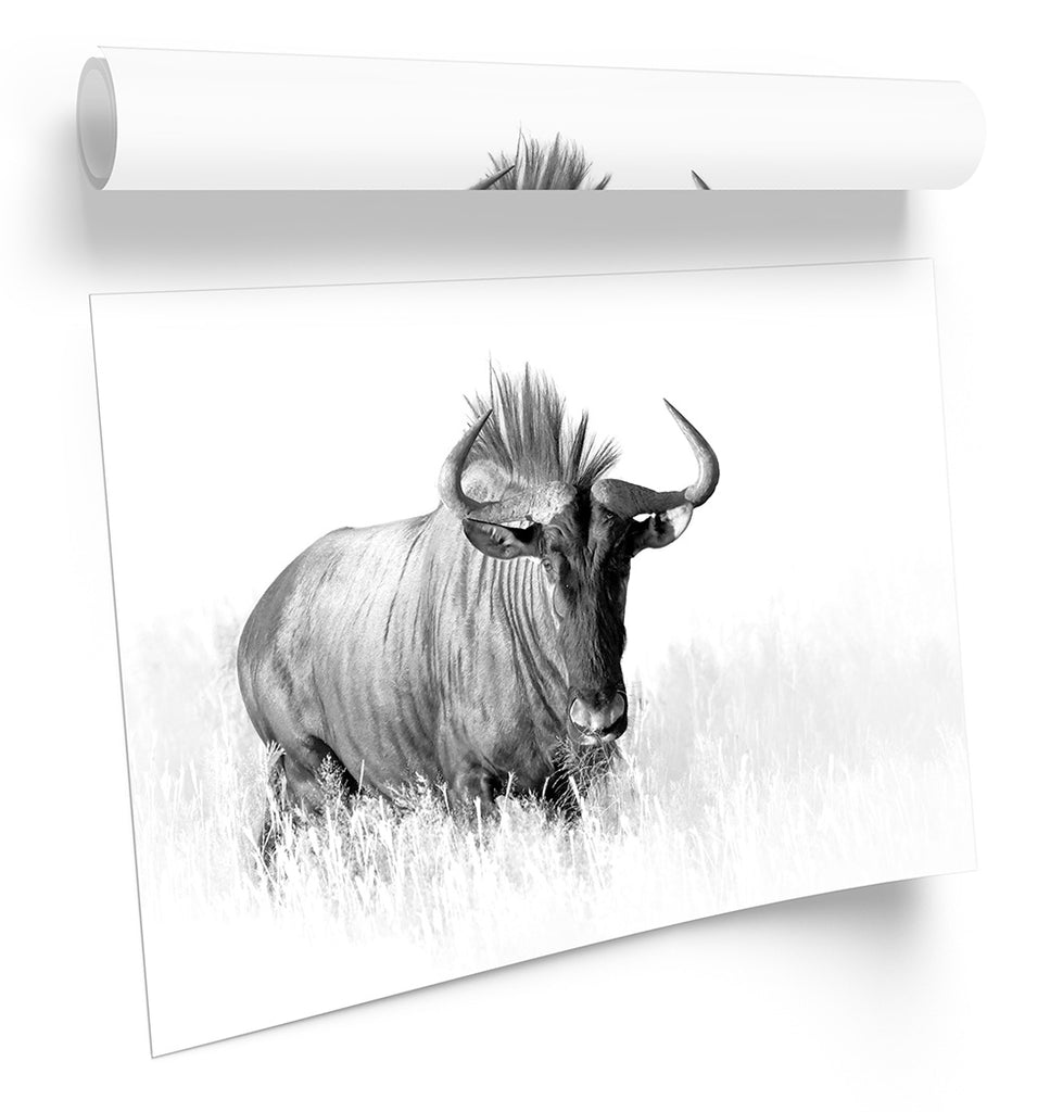 Antelope Minimalist White Framed