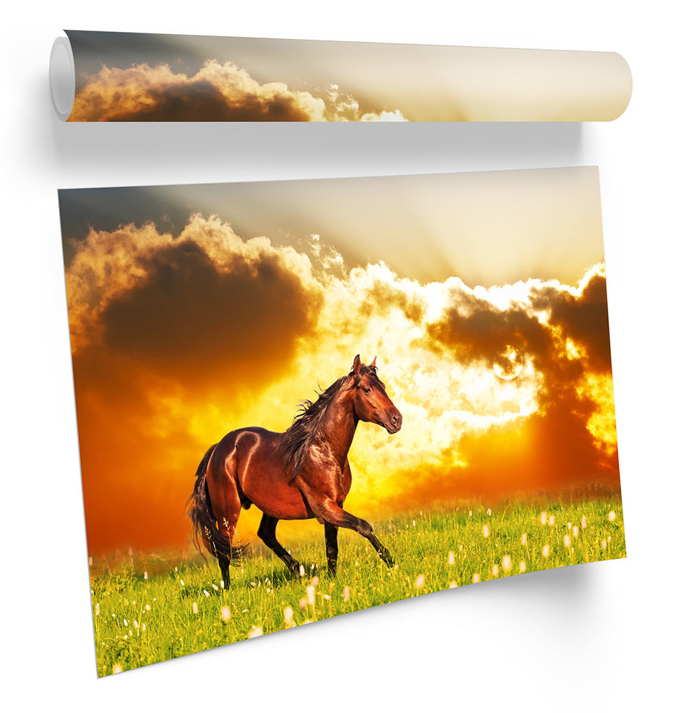Horse Sunset Meadow Orange Framed